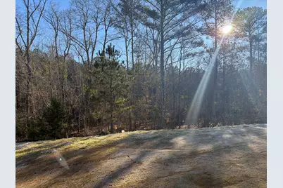 1399 Elias Station, Thomson, GA 30824 - Photo 13