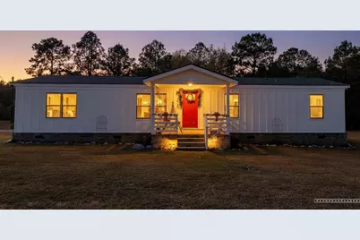 10199 Ga Highway 296, Stapleton, GA 30823 - Photo 3