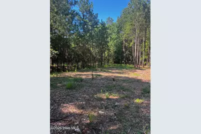 1192 Sunset Cove, Tignall, GA 30668 - Photo 49