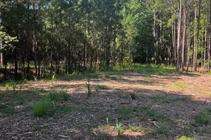 1192 Sunset Cove, Tignall, GA 30668 - Photo 49