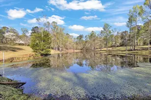 7025 Rance Perry Rd, Appling, GA 30802 - Photo 25