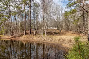 1330 Freeman Harriss Rd, Harlem, GA 30814 - Photo 51