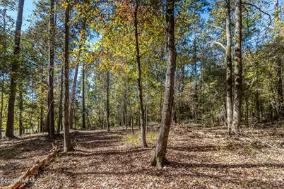 1036 Longleaf Way, Lincolnton, GA 30817 - Photo 71
