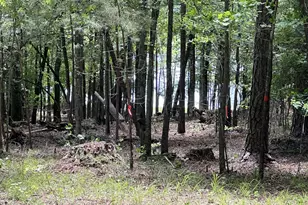 1021 S Pointe Ct, Tignall, GA 30668 - Photo 51
