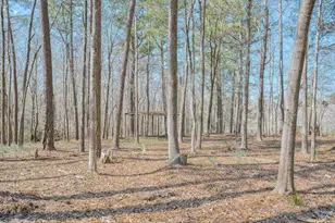561 Big Branch Ln, North Augusta, SC 29860 - Photo 41