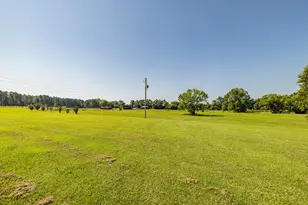 165 Lanier Rd, Johnston, SC 29832 - Photo 71