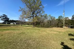 3329 NE Lincolnton Rd, Thomson, GA 30824 - Photo 39
