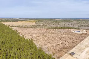 2579 Jessie James Pond Rd, Wrens, GA 30833 - Photo 53