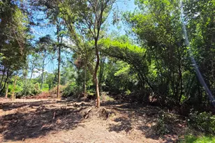 B Caprice Ln, Beech Island, SC 29842 - Photo 1