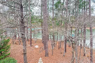307 Superior Cove, McCormick, SC 29835 - Photo 33
