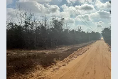 0 Thunder Road, Batesburg-Leesville, SC 29006 - Photo 5