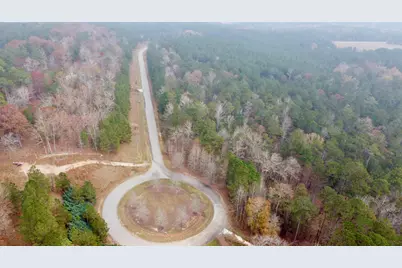 1549 Treasure Cove, Tignall, GA 30668 - Photo 3