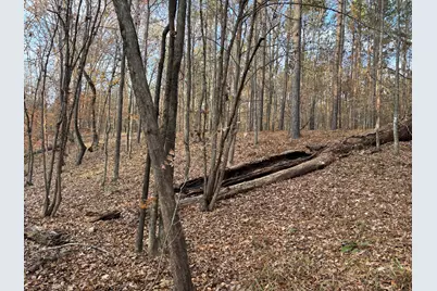 Lot 51 Willow Way, Lincolnton, GA 30817 - Photo 11