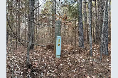 Lot 51 Willow Way, Lincolnton, GA 30817 - Photo 13