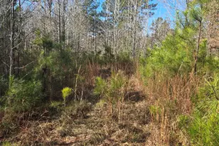 0 Outrigger Dr, Lincolnton, GA 30817 - Photo 1