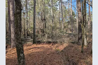 3015 Timber Woods Drive, Appling, GA 30802 - Photo 5