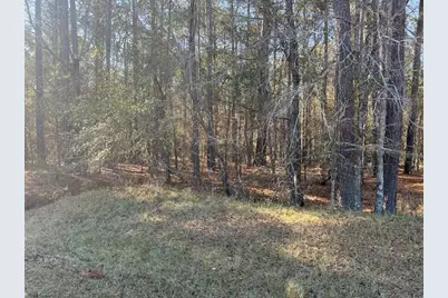 3015 Timber Woods Drive, Appling, GA 30802 - Photo 3
