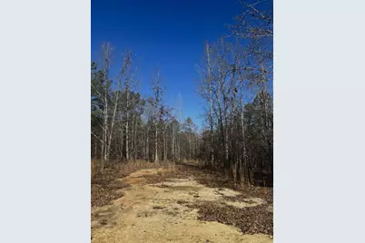 6975 Highway 80, Keysville, GA 30816 - Photo 3