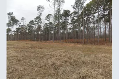 3 E Mosley Road, Lincolnton, GA 30817 - Photo 3