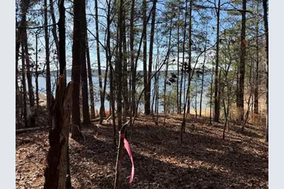 4-14 Old Ferry Road, McCormick, SC 29835 - Photo 9