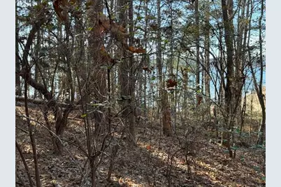 4-14 Old Ferry Road, McCormick, SC 29835 - Photo 7