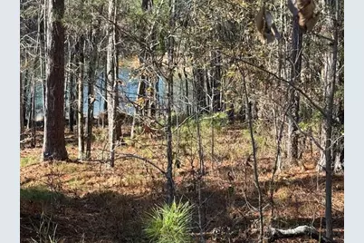 4-14 Old Ferry Road, McCormick, SC 29835 - Photo 3