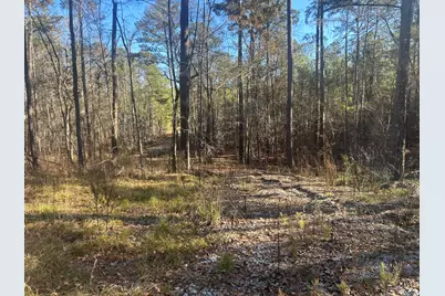 9.01 Hwy 220 E, Lincolnton, GA 30817 - Photo 5