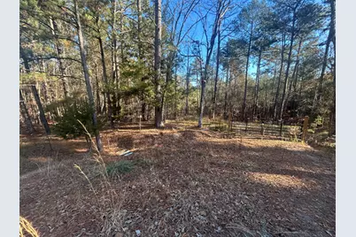 9.01 Hwy 220 E, Lincolnton, GA 30817 - Photo 3