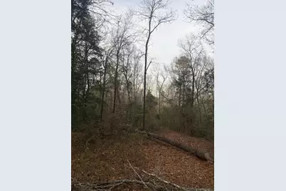 2005 McDade Farm Road, Hephzibah, GA 30815 - Photo 3