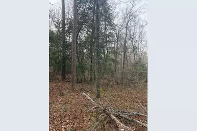 2005 McDade Farm Road, Hephzibah, GA 30815 - Photo 1