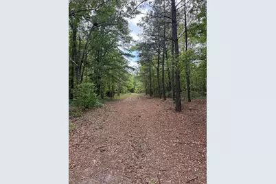 745 Wright Allen Road, Blythe, GA 30805 - Photo 13