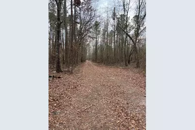 745 Wright Allen Road, Blythe, GA 30805 - Photo 3