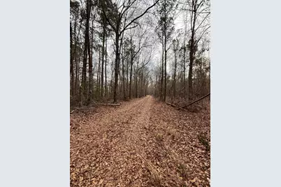 745 Wright Allen Road, Blythe, GA 30805 - Photo 1
