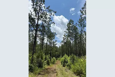 0 Christian Rd Road, McCormick, SC 29835 - Photo 3
