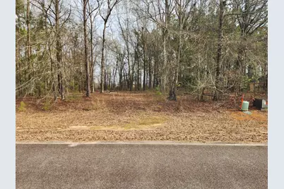 0 Cason Creek Subd, Louisville, GA 30434 - Photo 1