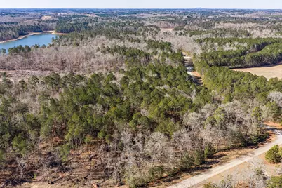 1038 Fleming Lake Court, Lincolnton, GA 30817 - Photo 9