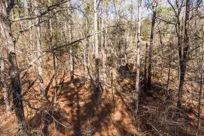 1038 Fleming Lake Court, Lincolnton, GA 30817 - Photo 17