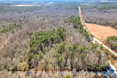 Tract 2 Day Road, Aiken, SC 29801 - Photo 3