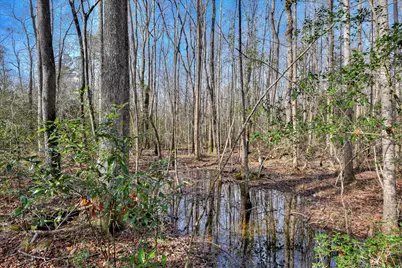 Tract 2 Day Road, Aiken, SC 29801 - Photo 13
