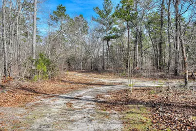 Tract 2 Day Road, Aiken, SC 29801 - Photo 9