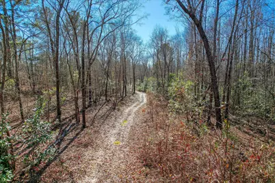 Tract 2 Day Road, Aiken, SC 29801 - Photo 7
