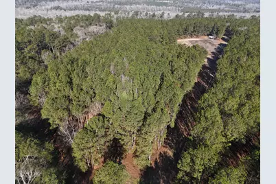 0 Ponderosa Road, Waynesboro, GA 30830 - Photo 5