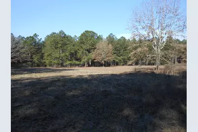 0 Ponderosa Road, Waynesboro, GA 30830 - Photo 19