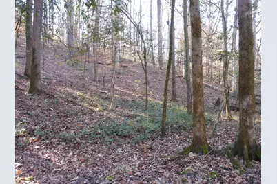 0 Ponderosa Road, Waynesboro, GA 30830 - Photo 33