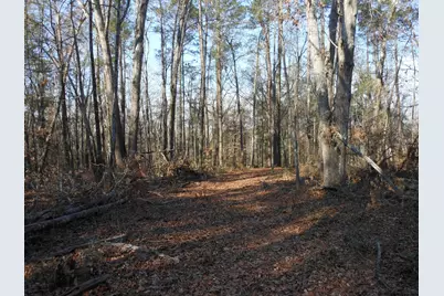 0 Ponderosa Road, Waynesboro, GA 30830 - Photo 25