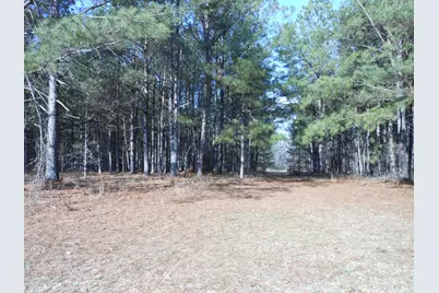 0 Ponderosa Road, Waynesboro, GA 30830 - Photo 39