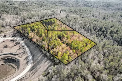 0 Washington Road, Appling, GA 30802 - Photo 3