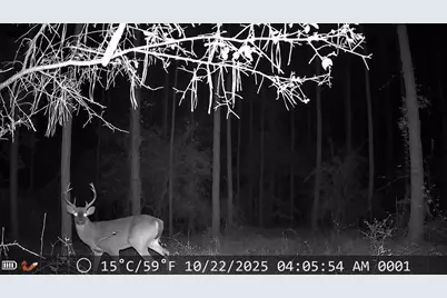 3229 Keysville-Boggs Academy Road, Keysville, GA 30816 - Photo 5