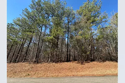 Lot 31 Willow Way, Lincolnton, GA 30817 - Photo 1
