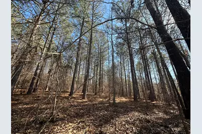 Lot 31 Willow Way, Lincolnton, GA 30817 - Photo 7